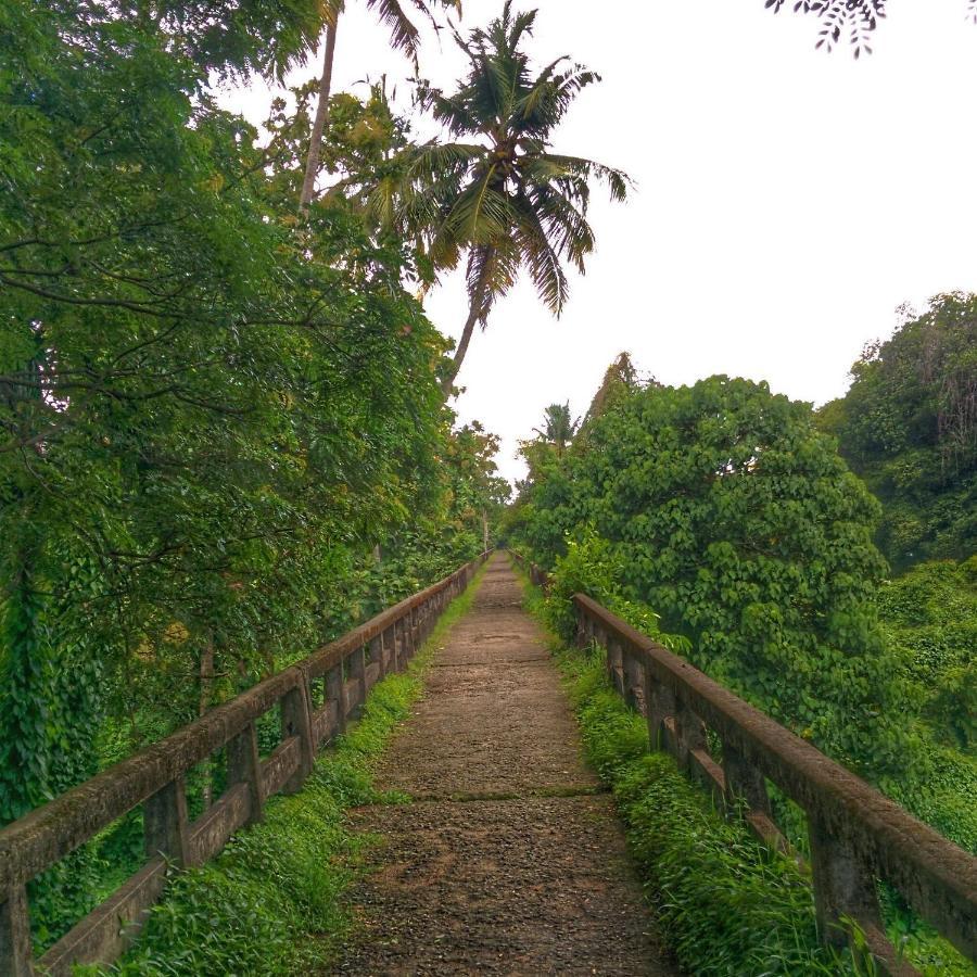 Back Packers Cochin Villa Kochi Buitenkant foto